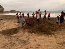 Bangkai Paus Ditemukan di Pantai Jebring Blitar