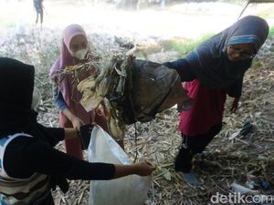 Pencinta Lingkungan Temukan Banyak Pakaian Dalam Wanita di Sungai Pasuruan