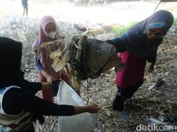 Pencinta Lingkungan Temukan Banyak Pakaian Dalam Wanita di Sungai Pasuruan