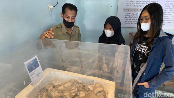 Seperti, fosil kepala banteng purba, gading dan rahang gajah, fosil paus purba, bekal kubur manusia kalang, artefak masa hindu-Budha hingga masa islam dan kolonial. Benda-benda pusaka juga tersimpan rapi, seperti keris, tombak, kudi, cempuling, pedang dan lain-lain. Seperti, fosil kepala banteng purba, gading dan rahang gajah, fosil paus purba, bekal kubur manusia kalang, artefak masa hindu-Budha hingga masa islam dan kolonial. Benda-benda pusaka juga tersimpan rapi, seperti keris, tombak, kudi, cempuling, pedang dan lain-lain.