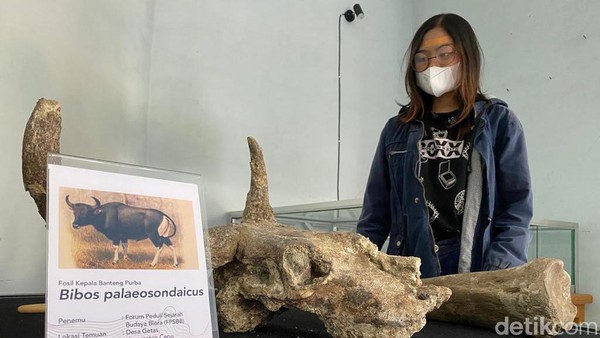 Rumah artefak adalah rintisan museum milik pemkab Blora yang menyimpan benda - benda cagar budaya yang ditemukan di wilayah Kabupaten Blora. Rumah artefak adalah rintisan museum milik pemkab Blora yang menyimpan benda - benda cagar budaya yang ditemukan di wilayah Kabupaten Blora.