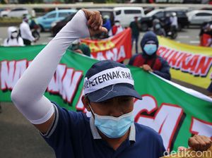 Peternak Ayam Geruduk DPR