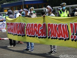 Pakan Jagung di Mata Peternak: Barang Masih Langka, Harga Mahal