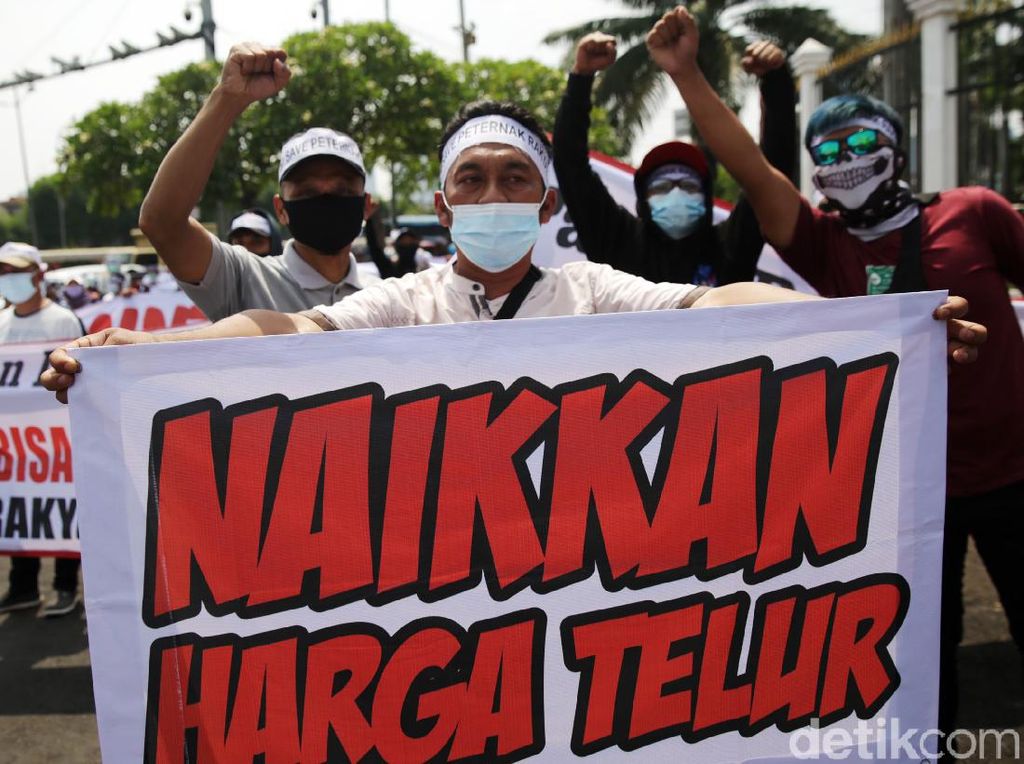 Merespons Sambat Peternak Ayam (Petelur) Merespons Sambat Peternak Ayam (Petelur)