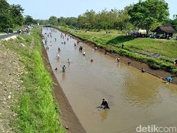 Dam Colo Sukoharjo Ditutup, Warga Tumpah Ruah Ramai-ramai Cari Ikan