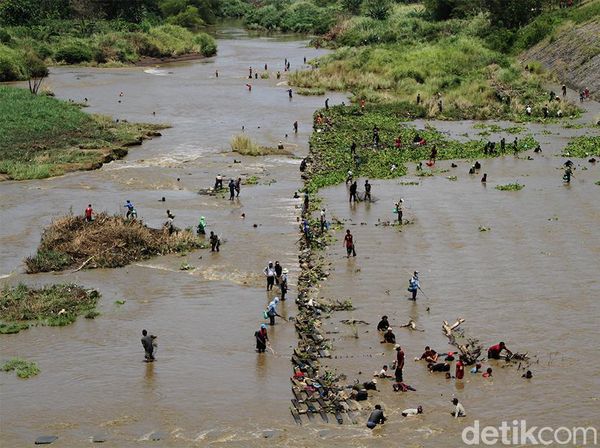 Serunya Warga Sukoharjo Berburu Ikan di Bendungan Colo