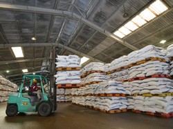 133 Ribu Ton Pupuk Subsidi Dikirim ke NTB, Kios Bandel Siap-siap Disanksi