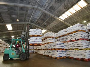 Harga Pupuk di RI Naik, Ini Biang Keroknya Harga Pupuk di RI Naik, Ini Biang Keroknya