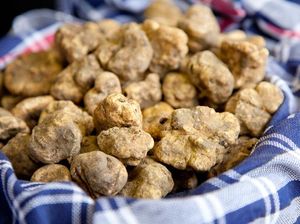 10 Bahan Makanan Termahal di Dunia, Ada Jamur Truffle Seharga Rp 3 M!