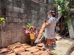 Bunga Bangkai di Cilandak Beda dengan Rafflesia Arnoldii, Ini Penjelasannya Bunga Bangkai di Cilandak Beda dengan Rafflesia Arnoldii, Ini Penjelasannya