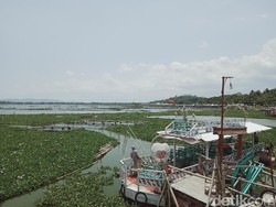 Dikepung Enceng Gondok, Kapal Wisata di Rawa Jombor Klaten Mangkrak