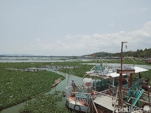 Dikepung Enceng Gondok, Kapal Wisata di Rawa Jombor Klaten Mangkrak Dikepung Enceng Gondok, Kapal Wisata di Rawa Jombor Klaten Mangkrak
