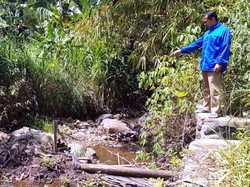 45 Hektare Lahan Pertanian di Sukabumi Terancam Gagal Panen