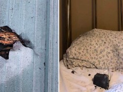 Meteorit Jatuh Lubangi Atap, Nyaris Hantam Pemilik Rumah