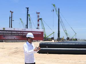 4 Fakta Warga Papua Protes Jokowi Bangun Smelter di Gresik