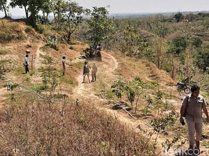 Operator Tambang Emas Banyuwangi Klaim Telah Serahkan Lakom Terluas di Jawa Operator Tambang Emas Banyuwangi Klaim Telah Serahkan Lakom Terluas di Jawa