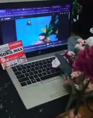 Smartfren