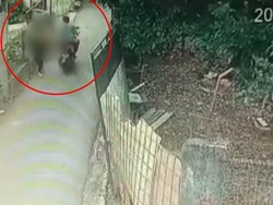 Heboh Kasus Pelecehan Seksual: Pamer Kelamin-Begal Payudara