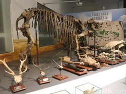 5 Museum di Bandung yang Seru untuk Dikunjungi