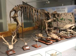5 Museum di Bandung yang Seru untuk Dikunjungi 5 Museum di Bandung yang Seru untuk Dikunjungi