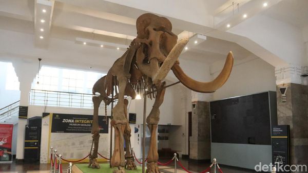 Asyik, Museum Geologi Bandung Siap Dibuka