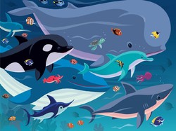 Benarkah Hiu Takut Lumba-lumba dan Paus?