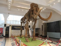 Hasil Simulasi Disbudpar Bandung, Museum Geologi Layak Buka Kembali