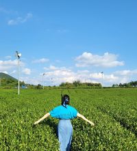 5 Destinasi Wisata Pulau Jeju Yang Cocok Dipilih Buat Healing, Lihat ...