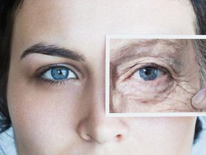 Ilmuwan Harvard: Usia Tua adalah Penyakit dan Bisa Disembuhkan!