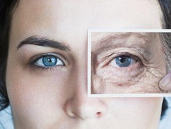 Ilmuwan Harvard: Usia Tua adalah Penyakit dan Bisa Disembuhkan!