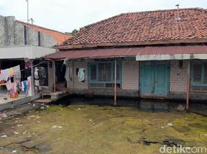 Tiap Tahun Terkikis 30 Meter, Abrasi di Brebes Ancam Permukiman
