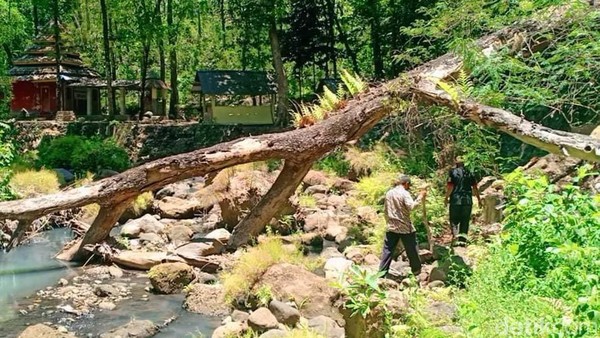 Memasuki alas Ketonggo, para peziarah dapat melihat Palenggahan Agung Srigati, berupa sebuah bangunan rumah kecil berukuran sekitar 4 kali 3 meter. Di dalamnya dulunya terdapat gundukan tanah, yang dari hari ke hari dikabarkan seperti hidup. Ukuran gundukan tanah itu, semakin lama semakin tinggi dan melebar. Memasuki alas Ketonggo, para peziarah dapat melihat Palenggahan Agung Srigati, berupa sebuah bangunan rumah kecil berukuran sekitar 4 kali 3 meter. Di dalamnya dulunya terdapat gundukan tanah, yang dari hari ke hari dikabarkan seperti hidup. Ukuran gundukan tanah itu, semakin lama semakin tinggi dan melebar.