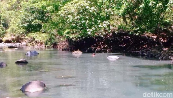 Dua sungai aliran Gunung Lawu bertemu di Alas Ketonggo, yakni sungai Ketonggo dan sungai Cangmalang. Untuk menuju sungai ini pengunjung berjalan sekitar 300 meter dari gerbang utama masuk Palereman Alas Ketonggo Srigati. Dua sungai aliran Gunung Lawu bertemu di Alas Ketonggo, yakni sungai Ketonggo dan sungai Cangmalang. Untuk menuju sungai ini pengunjung berjalan sekitar 300 meter dari gerbang utama masuk Palereman Alas Ketonggo Srigati.