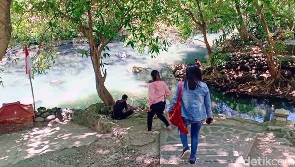 Alas Ketonggo Ngawi yang Dipercaya Petilasan Raja Brawijaya