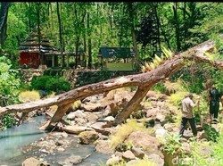 Kisah Mistis Gunung Lawu, Kapal Pesiar Terbesar di Dunia