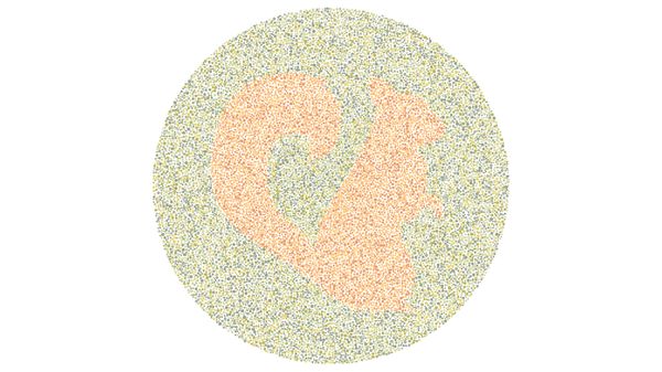 Hari Penglihatan Sedunia, Cek Ketajaman Mata dengan Tebak Gambar Hewan