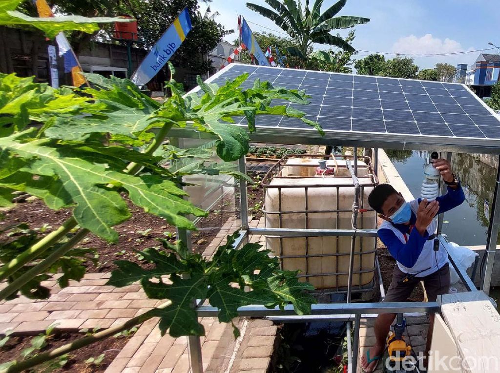 Lebih Irit, Urban Farming di Bandung Pakai Solar Cell