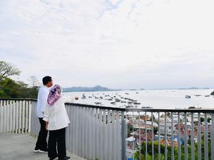 Sekilas Pandang Jurassic Park TN Komodo yang Diresmikan Jokowi Sekilas Pandang Jurassic Park TN Komodo yang Diresmikan Jokowi
