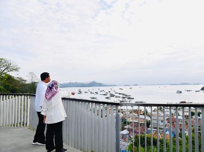 Sekilas Pandang Jurassic Park TN Komodo yang Diresmikan Jokowi
