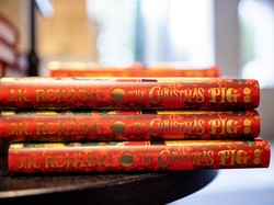 Mengenal Jenis-jenis Novel beserta Unsur-unsurnya