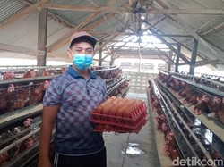 Aksi Borong ASN Jombang Serap 1,6 Ton Telur dari 3 Peternak Lokal