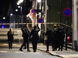 5 Orang Tewas dalam Serangan Panah di Norwegia, Pelaku Ditangkap