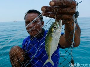 Potret Nelayan Kendal yang Konon Bisa Dengar Suara Ikan