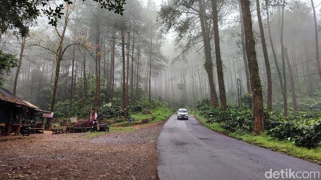 Siluman Ular Penghuni Puncak Jahim Ciamis Siluman Ular Penghuni Puncak Jahim Ciamis