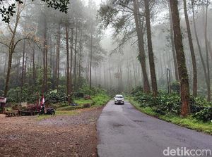 Siluman Ular Penghuni Puncak Jahim Ciamis Siluman Ular Penghuni Puncak Jahim Ciamis
