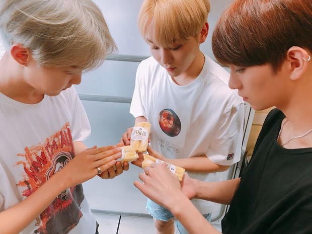 Seventeen memberikan sandwich kepada penggemarnya/ Foto: Twitter/ @Pledis_17 Seventeen memberikan sandwich kepada penggemarnya