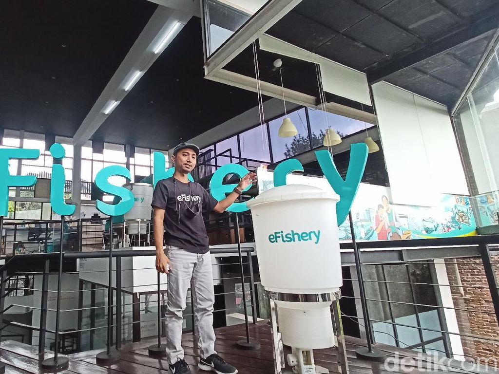 Mentap! Startup Perikanan Made In Bandung Jajal User Luar Negeri Mentap! Startup Perikanan Made In Bandung Jajal User Luar Negeri