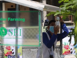 Canggih Euy! Urban Farming di Bandung Pakai Energi Matahari