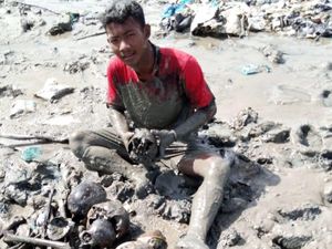 Tulang Manusia Ditemukan Berserakan di Lahan Mangrove Rohil Riau