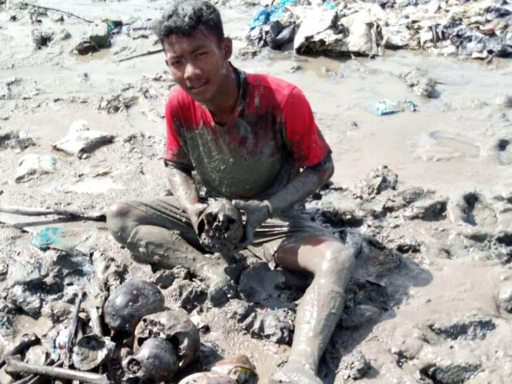 Tulang Manusia Ditemukan Berserakan di Lahan Mangrove Rohil Riau Tulang Manusia Ditemukan Berserakan di Lahan Mangrove Rohil Riau